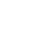 Efficiency Icon