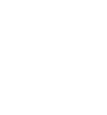Standard Icon